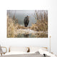Great Blue Heron Stands Wall Mural