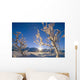 Frosted Trees Backlit @ Sunrise On Broad Pass Sc Ak Winter Wall Mural