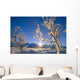 Frosted Trees Backlit @ Sunrise On Broad Pass Sc Ak Winter Wall Mural