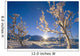 Frosted Trees Backlit @ Sunrise On Broad Pass Sc Ak Winter Wall Mural