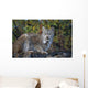 Adult Lynx On Hill Side Denali Np In Alaska Summer Wall Mural