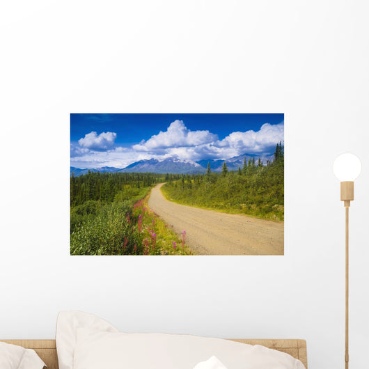 View Of The Mentasta Moountains From Nabesna Road Wall Mural