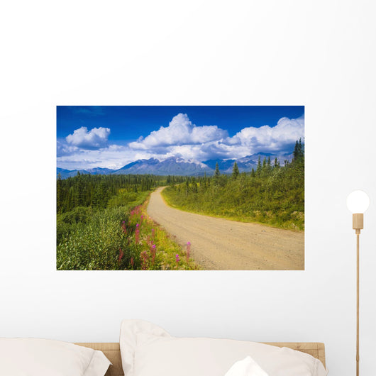 View Of The Mentasta Moountains From Nabesna Road Wall Mural