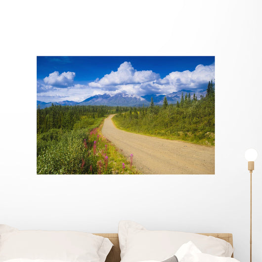 View Of The Mentasta Moountains From Nabesna Road Wall Mural