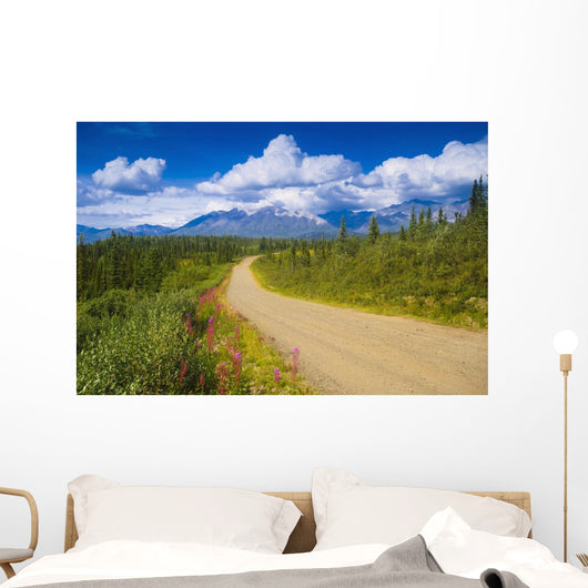 View Of The Mentasta Moountains From Nabesna Road Wall Mural