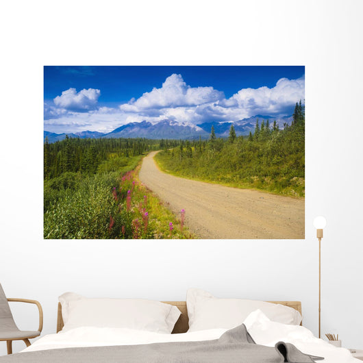 View Of The Mentasta Moountains From Nabesna Road Wall Mural