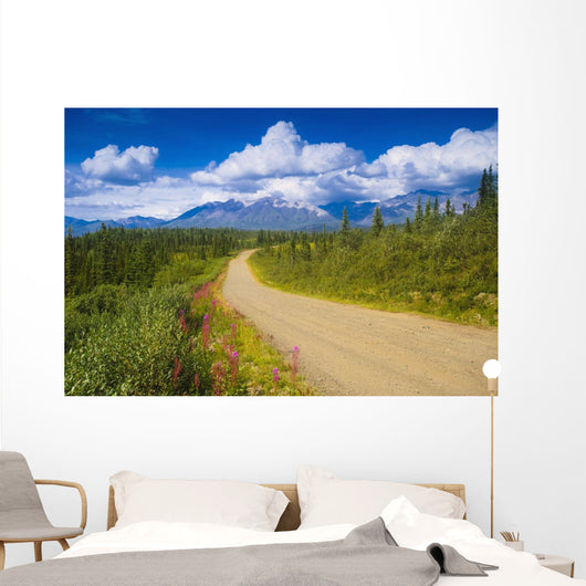 View Of The Mentasta Moountains From Nabesna Road Wall Mural