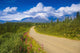 View Of The Mentasta Moountains From Nabesna Road Wall Mural