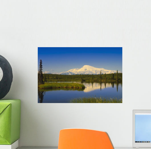 View Of Mount Sanford In Wrangell Saint Elias National Park Wall Mural