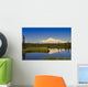 View Of Mount Sanford In Wrangell Saint Elias National Park Wall Mural
