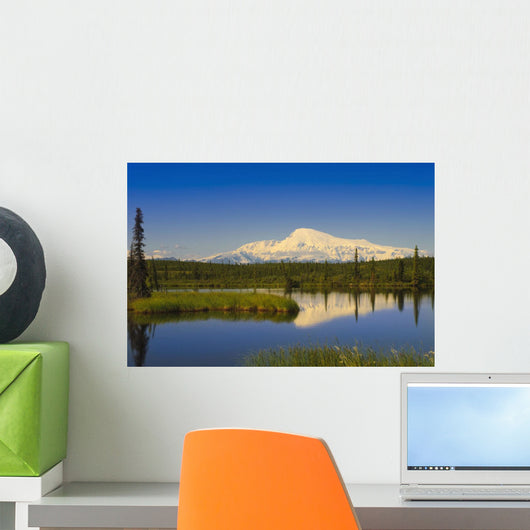 View Of Mount Sanford In Wrangell Saint Elias National Park Wall Mural