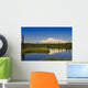 View Of Mount Sanford In Wrangell Saint Elias National Park Wall Mural