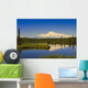 View Of Mount Sanford In Wrangell Saint Elias National Park Wall Mural