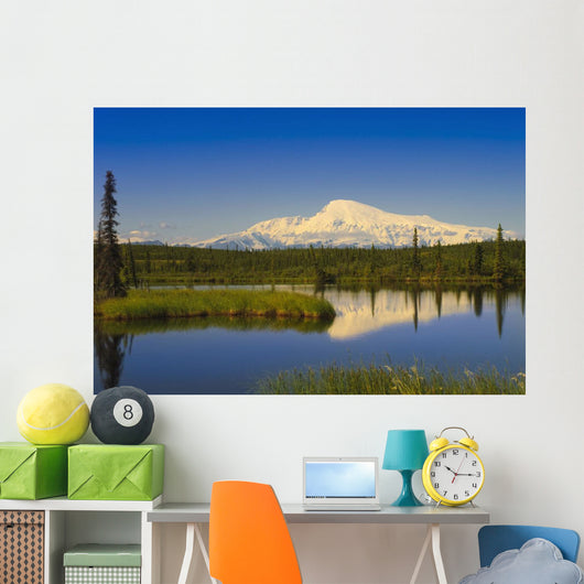 View Of Mount Sanford In Wrangell Saint Elias National Park Wall Mural
