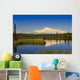 View Of Mount Sanford In Wrangell Saint Elias National Park Wall Mural