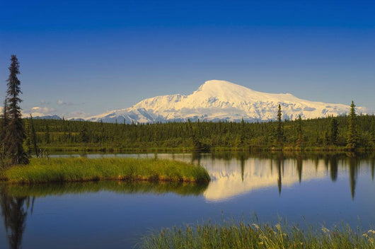 View Of Mount Sanford In Wrangell Saint Elias National Park Wall Mural
