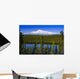 View Of Mount Sanford From Long Lake Wall Mural