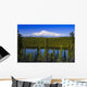View Of Mount Sanford From Long Lake Wall Mural