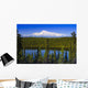 View Of Mount Sanford From Long Lake Wall Mural