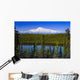 View Of Mount Sanford From Long Lake Wall Mural