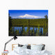 View Of Mount Sanford From Long Lake Wall Mural