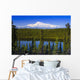 View Of Mount Sanford From Long Lake Wall Mural