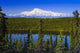 View Of Mount Sanford From Long Lake Wall Mural