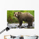 Summer Wall Mural