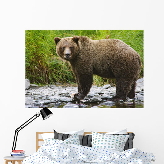 Summer Wall Mural