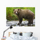 Summer Wall Mural