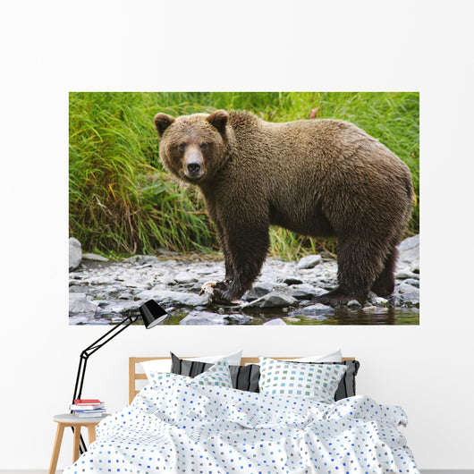 Summer Wall Mural