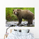 Summer Wall Mural