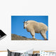 A Mountain Goat Near Exit Glacier's Harding Icefield Trail Wall Mural