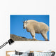 A Mountain Goat Near Exit Glacier's Harding Icefield Trail Wall Mural