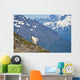 A Mountain Goat Wall Mural