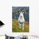 Close Up Of A Large Dall Sheep Ram Standing On Fall Tundra Wall Mural