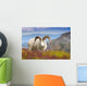 Close Up Of A Large Dall Sheep Ram Standing On Fall Tundra Wall Mural