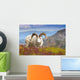 Close Up Of A Large Dall Sheep Ram Standing On Fall Tundra Wall Mural