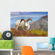 Close Up Of A Large Dall Sheep Ram Standing On Fall Tundra Wall Mural