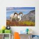 Close Up Of A Large Dall Sheep Ram Standing On Fall Tundra Wall Mural