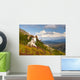 Adult Dall Sheep Ram Resting On A Hillside On Fall Tundra Wall Mural