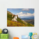 Adult Dall Sheep Ram Resting On A Hillside On Fall Tundra Wall Mural