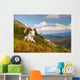 Adult Dall Sheep Ram Resting On A Hillside On Fall Tundra Wall Mural