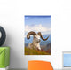 Adult Dall Sheep Ram Resting On A Hillside On Fall Tundra Wall Mural