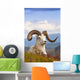 Adult Dall Sheep Ram Resting On A Hillside On Fall Tundra Wall Mural