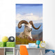 Adult Dall Sheep Ram Resting On A Hillside On Fall Tundra Wall Mural