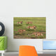 Five Running Cheetah Wall Mural