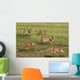 Five Running Cheetah Wall Mural