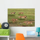 Five Running Cheetah Wall Mural