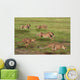 Five Running Cheetah Wall Mural